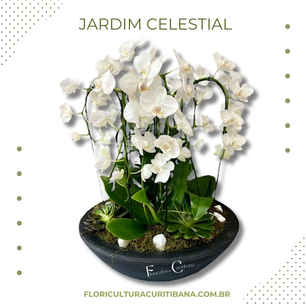 Jardim Celestial