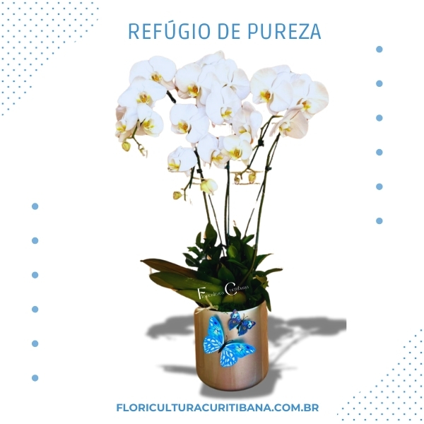 Refúgio de Pureza