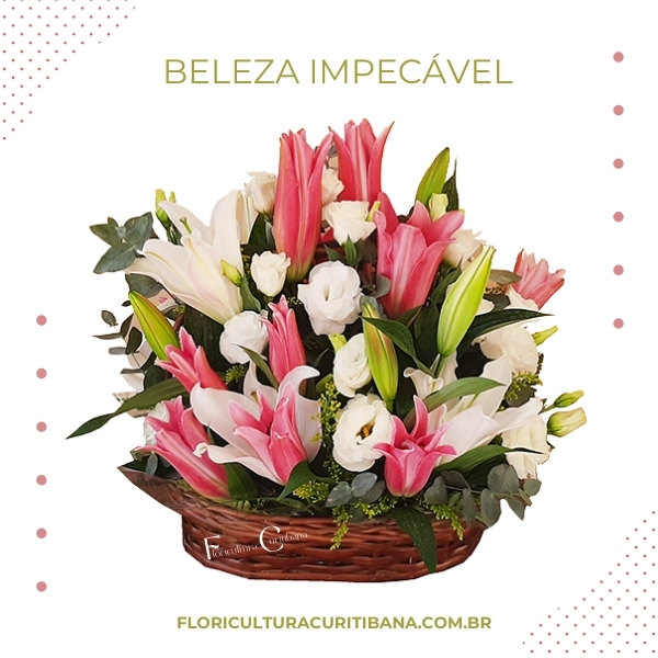 Beleza Impecável